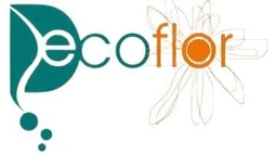 Decoflor Zaragoza