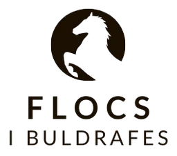 Flocs i Buldrafes