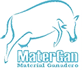 Matergan