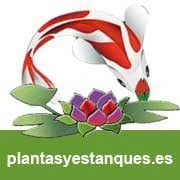 Plantas y Estanques