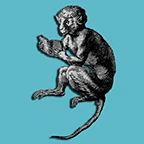MAGOT