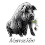 Marrachón