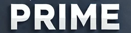 PRIME STOCKS