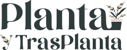 Planta y Trasplanta