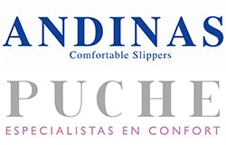 Andinas