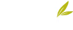 Reyes Rivero