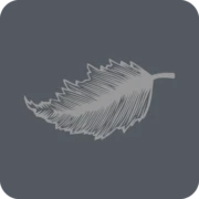 Betula