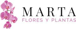 Marta Flores y Plantas