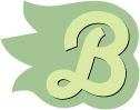 BiciCamiseta