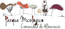 Micología Albarracín