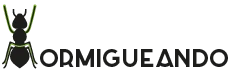 Hormigueando