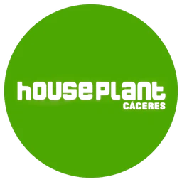 Houseplant Cáceres
