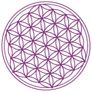 Bindi Online