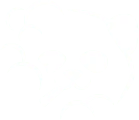 Pandy Vape