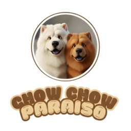 Chow Chow Paraíso