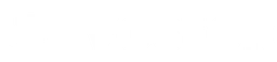 Vostok Electric