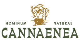 Cannaenea