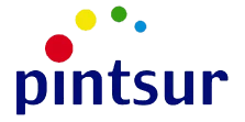 Pintsur