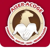 Aiser Tienda