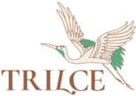 Trilce