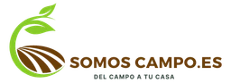 Somos Campo