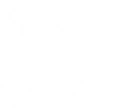 Holy Cards