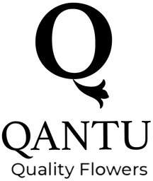 Qantu Quality Flowers