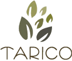 Tarico