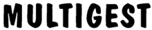 MultiGest Informática