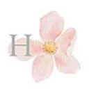 Little Hannah Shop