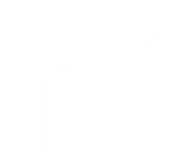 Nankurunaisa