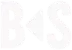 BS Skateboarding