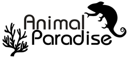 Animal Paradise
