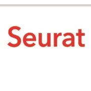 Seurat Ediciones