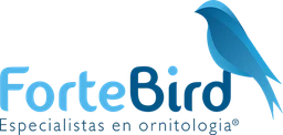 Fortebird