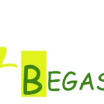 Especias Begascar
