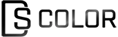 DS COLOR