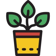 Planta y Maceta