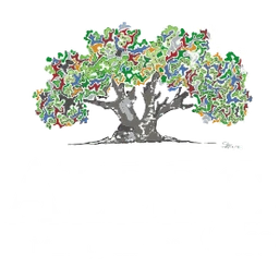AledoOleo