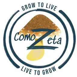 Comozeta