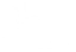 Hifas Foresta
