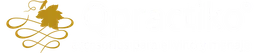 Qpractiko