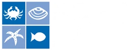 Mariscos Islas Cíes