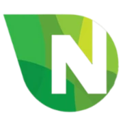 Natussi