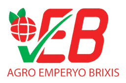 EmperyoBrixis
