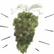 vinógenes