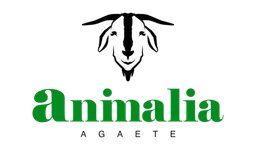 Animalia Agaete