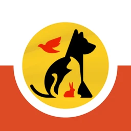 Confort Animal