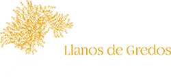 Los Llanos de Gredos