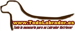 Todo Labrador